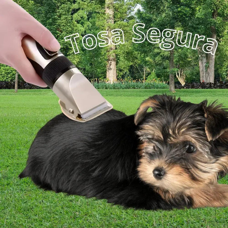 Máquina De Tosa Profissional Recarregável Cães e Gatos